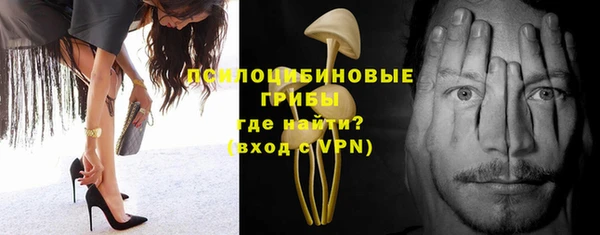 apvp Елабуга