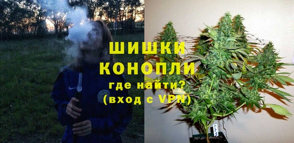 Альфа ПВП Пестово