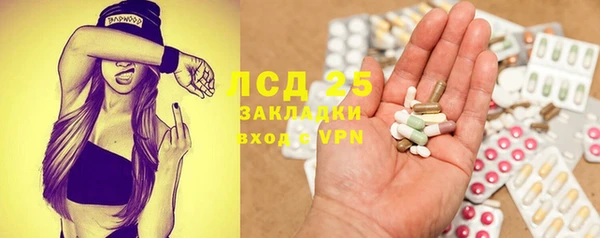 спиды Ельня