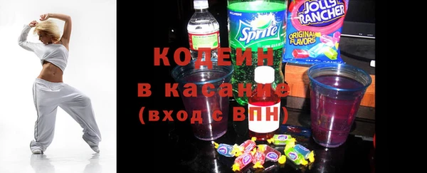 дживик Пересвет