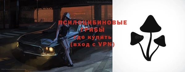 apvp Елабуга
