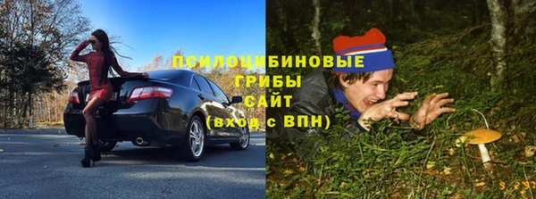 шишки Заволжск