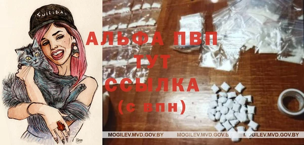 дживик Пересвет
