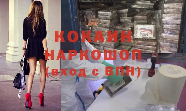 шишки Заволжск
