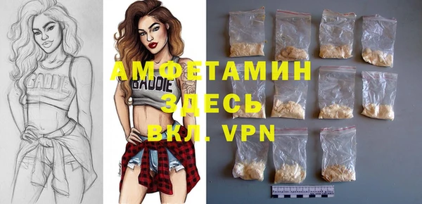 спиды Ельня