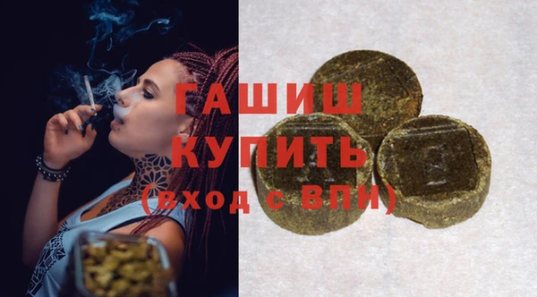 спиды Ельня