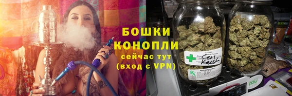 шишки Заволжск