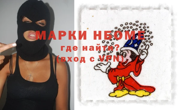 спиды Ельня