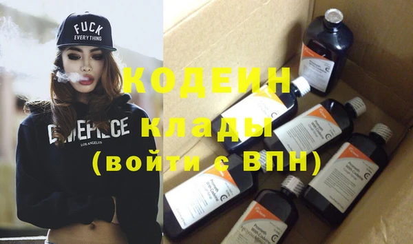 спиды Ельня