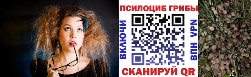 где купить наркотик  Славск  Псилоцибиновые грибы Magic Shrooms 